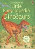 The_Usborne_little_encyclopedia_of_dinosaurs