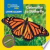 Caterpillar_to_butterfly___text_by_Catherine_D__Hughes