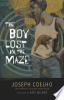 The_boy_lost_in_the_maze