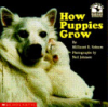 How_Puppies_Grow