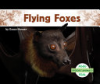 Flying_foxes